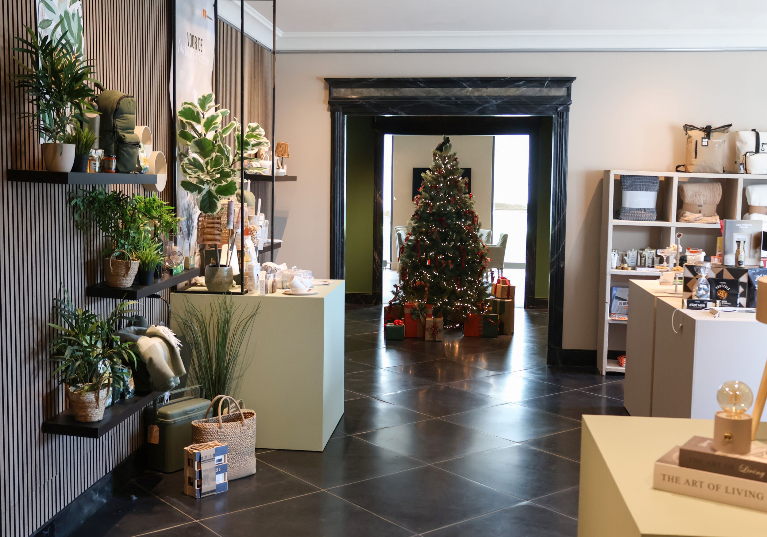 Showroom Volume scaled